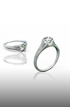 Ring Pavo